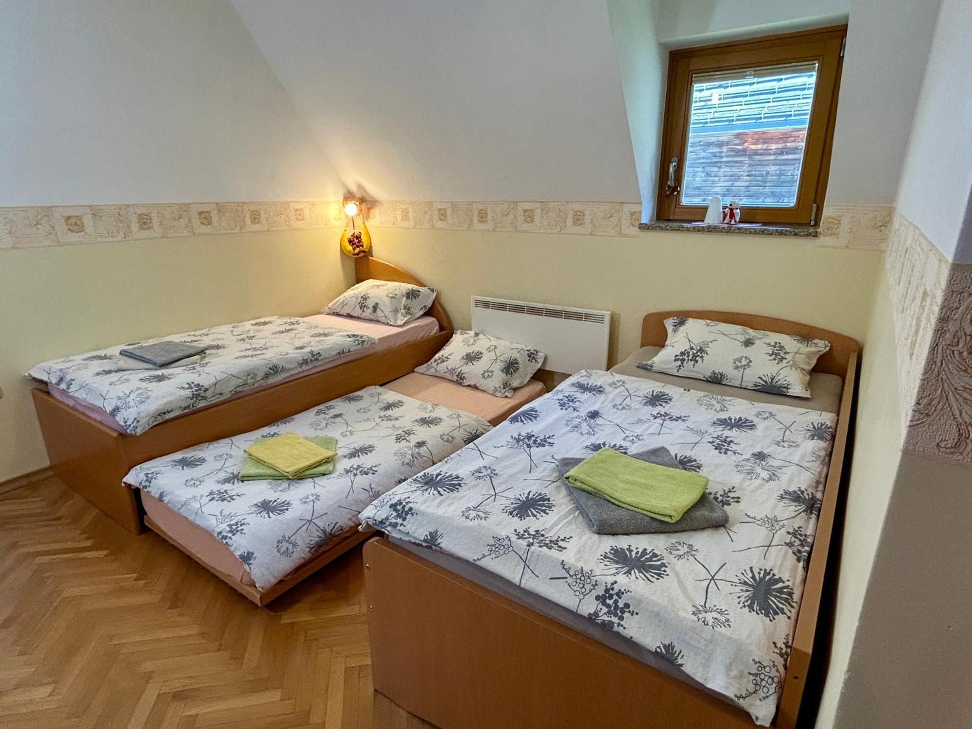 Apartment Crystal Rose Kranjska Gora Ngoại thất bức ảnh