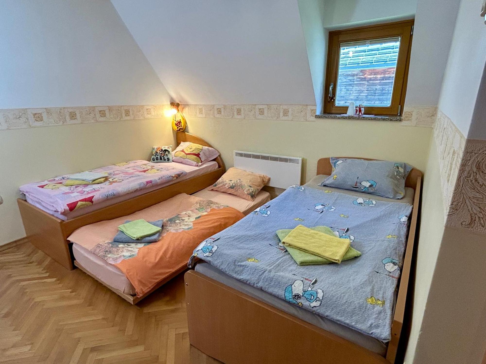 Apartment Crystal Rose Kranjska Gora Ngoại thất bức ảnh
